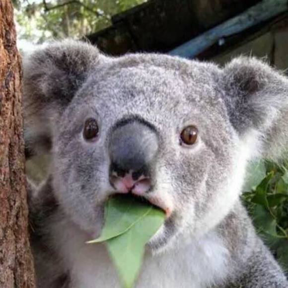 Meet your Posher, Monique - Picture 1 of 1